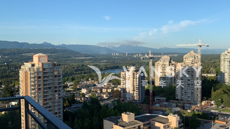 240727125147_SSQ view.jpeg